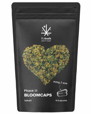 Bubudz Hanf Düngekapseln Bloom - Phase 2