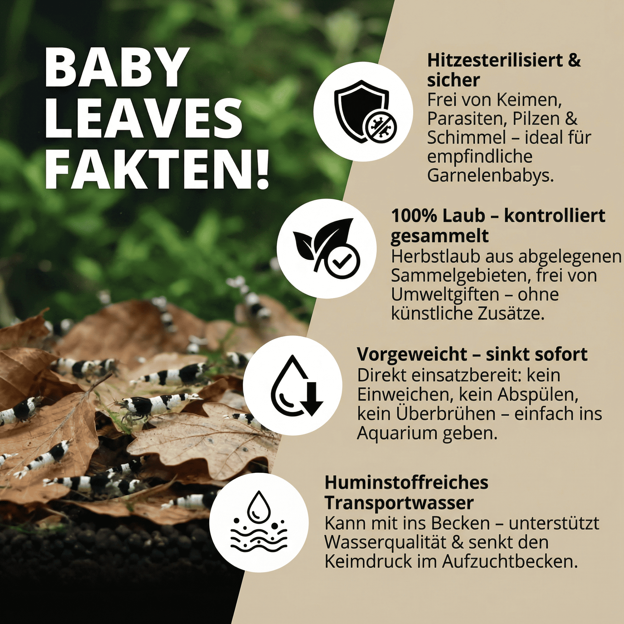 NatureHolic Baby Leaves - Sterilisierte und vorgewässerte Laubportionen 100g
