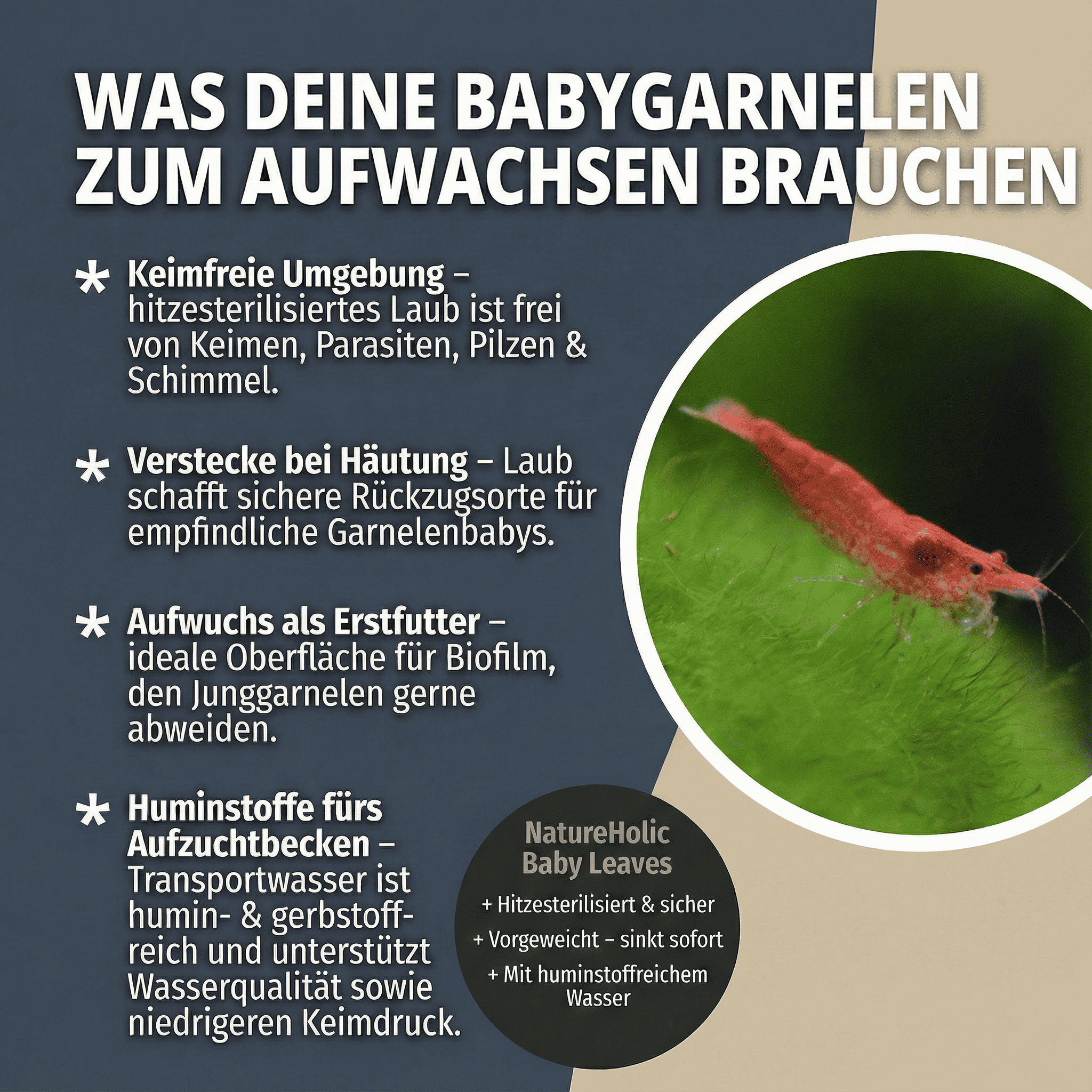NatureHolic Baby Leaves - Sterilisierte und vorgewässerte Laubportionen 100g