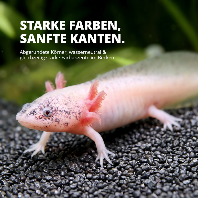 Black Axolotl Ground - 10kg Spezialbodengrund für Axolotl