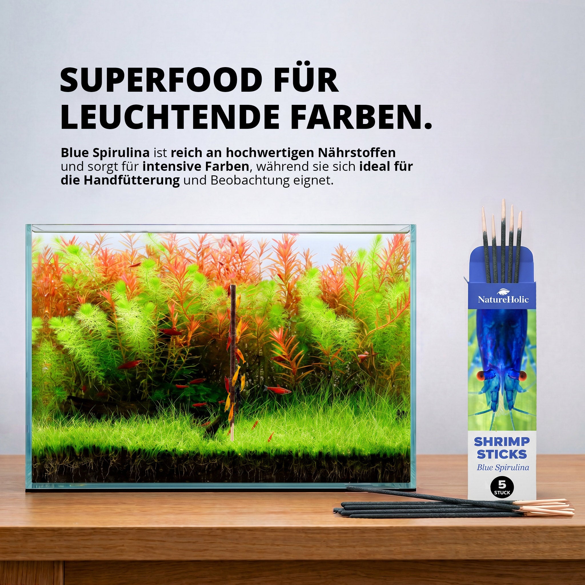 NatureHolic - Garnelen Lollies „Blue Spirulina“ - 5 Lollis fürs Aquarium
