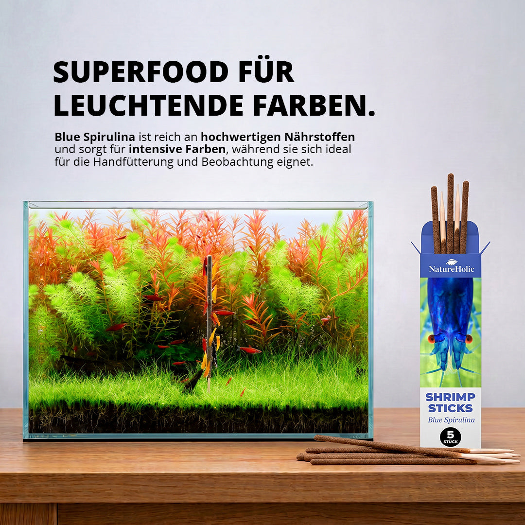 NatureHolic - Garnelen Lollies „Blue Spirulina“ - 5 Lollis fürs Aquarium