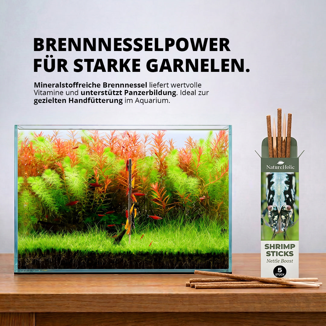NatureHolic - Garnelen Lollies „Brennnessel Boost“ - 5 Lollis fürs Aquarium