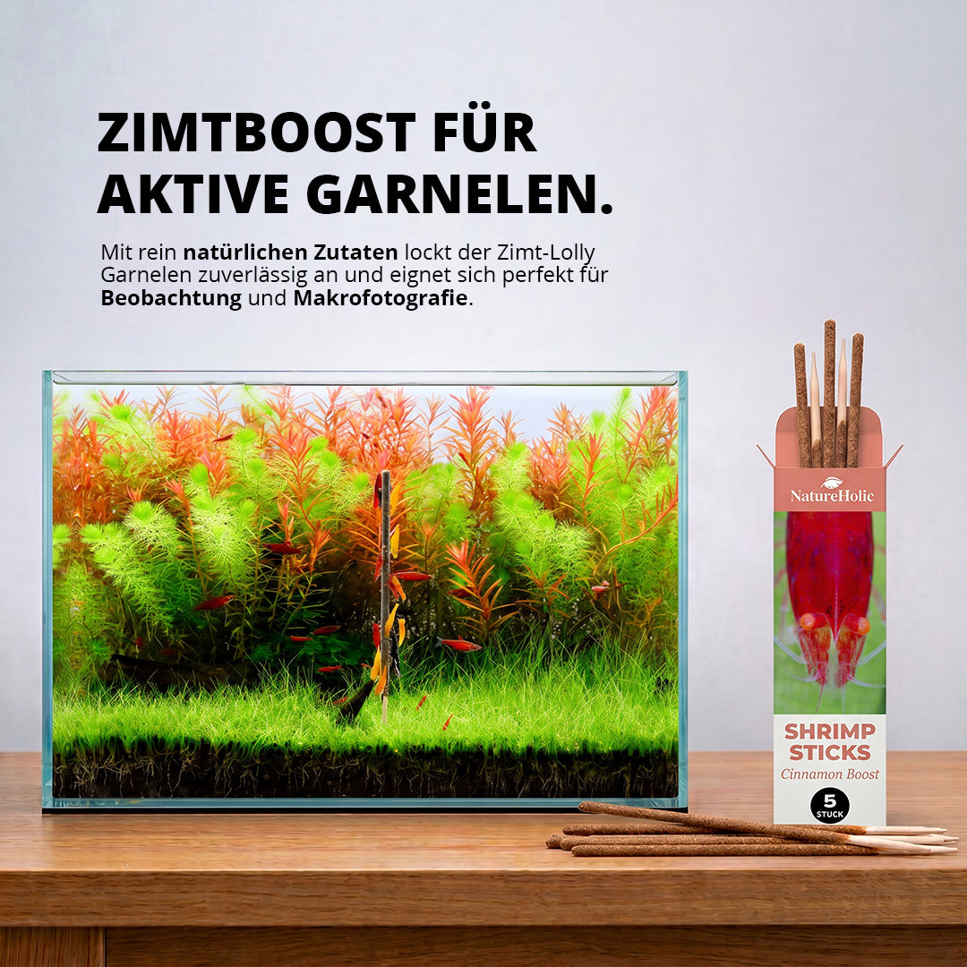 NatureHolic - Garnelen Lollies „Cinnamon Boost“ - 5 Lollis fürs Aquarium