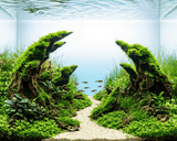 NatureHolic - Ready to Scape - Dragon's Gate 60