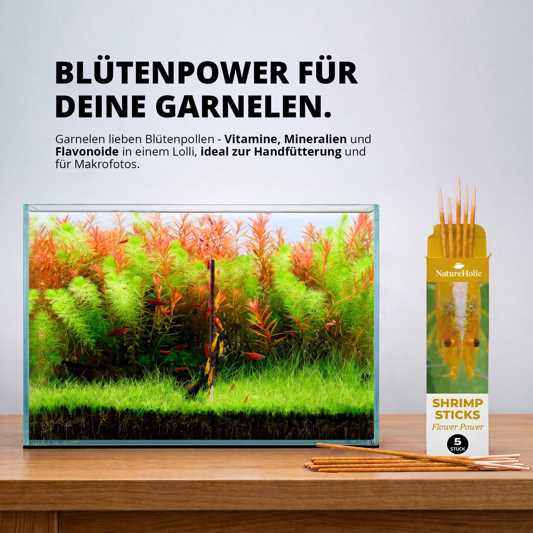 NatureHolic - Garnelen Lollies „Flower Power“ -  5 Lollis fürs Aquarium