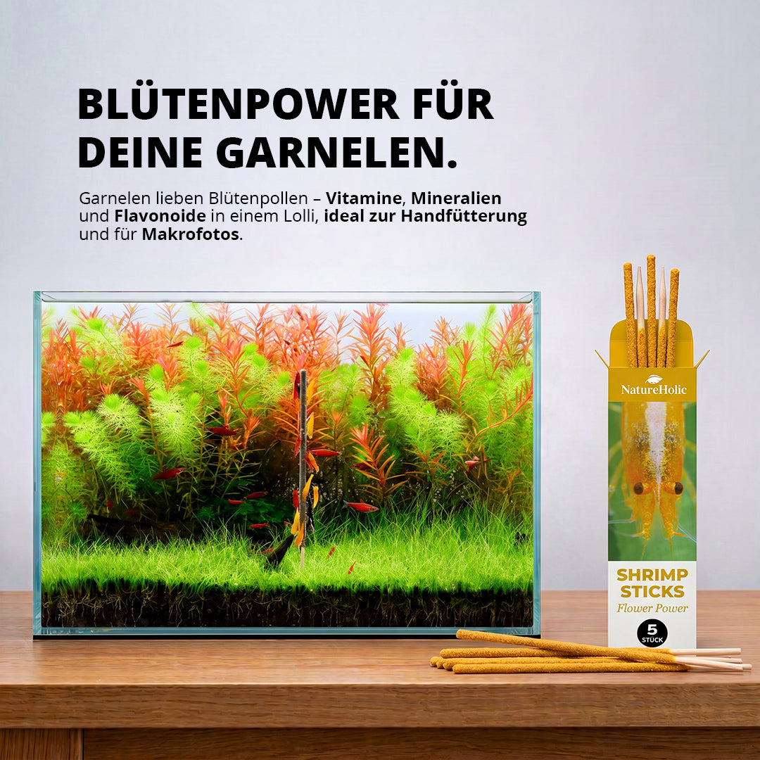 NatureHolic - Garnelen Lollies „Flower Power“ -  5 Lollis fürs Aquarium