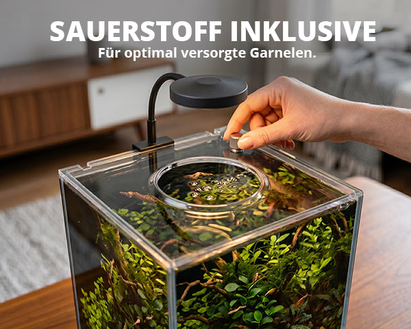 NatureHolic Garnelenaquarium - All in one Komplettset mit Bodenfilter