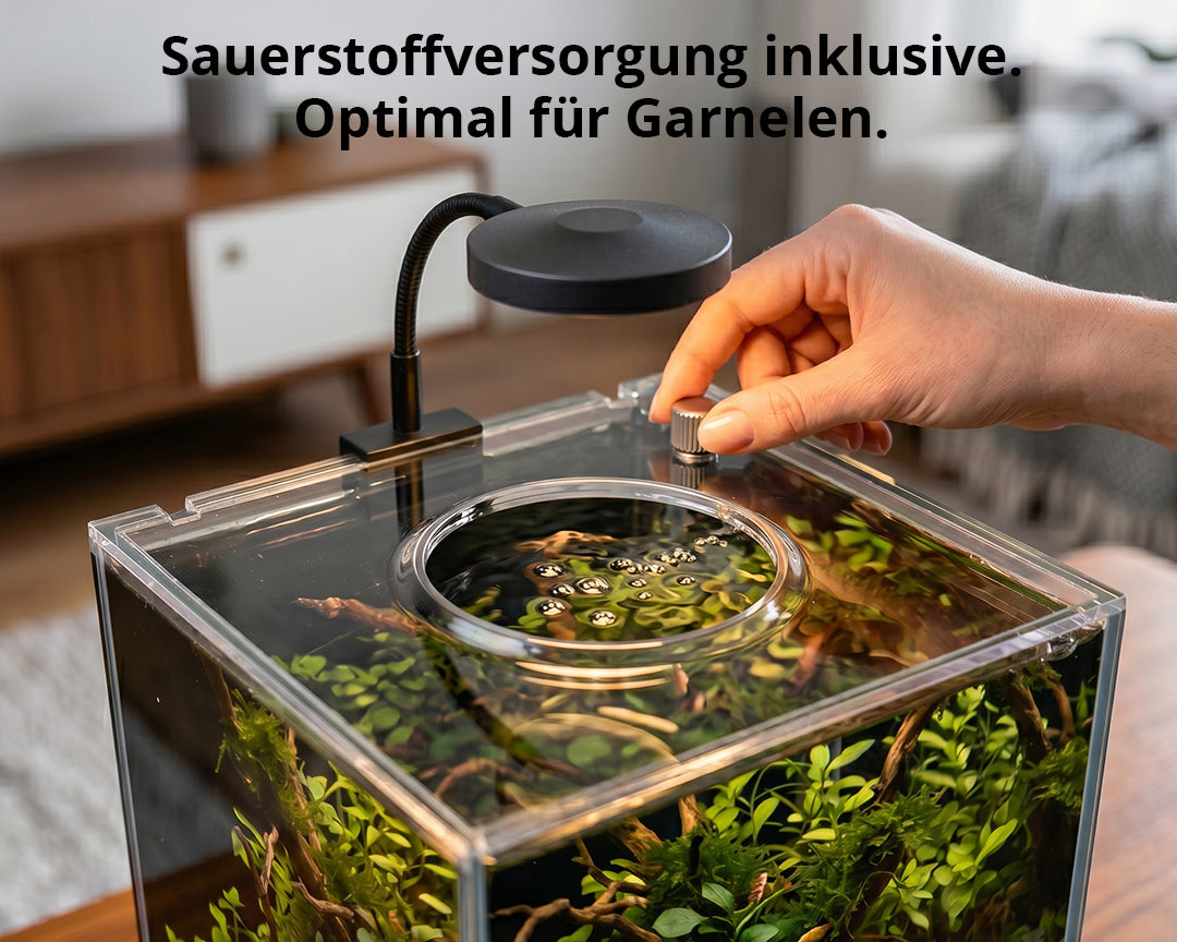 NatureHolic Garnelenaquarium - All in one Komplettset mit Bodenfilter