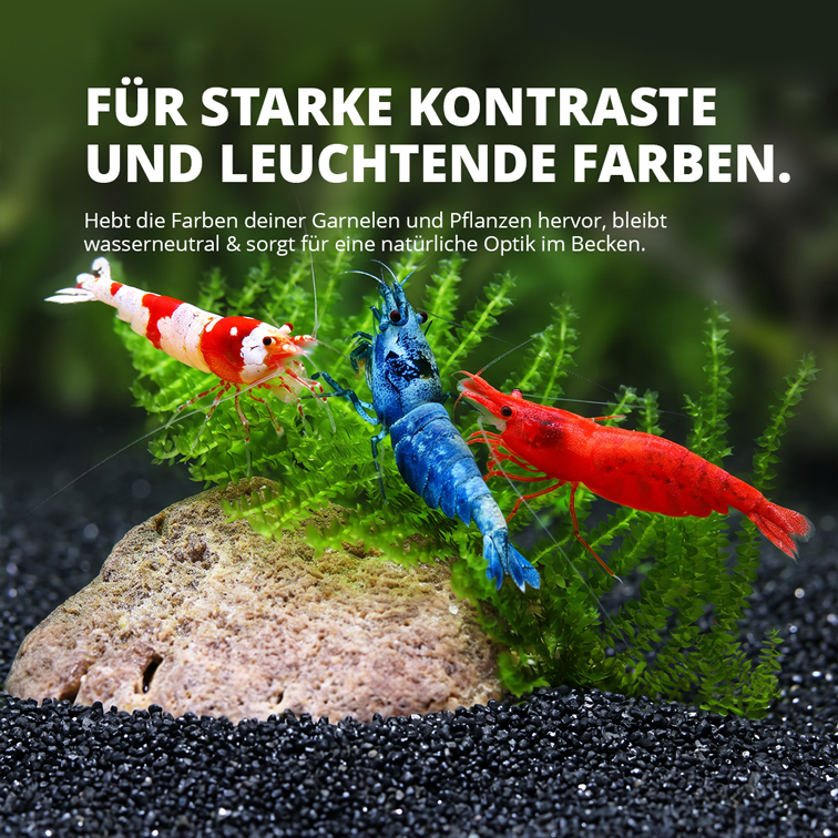 NatureHolic - Garnelensand Schwarz - Aquariensand für Garnelen 3 kg