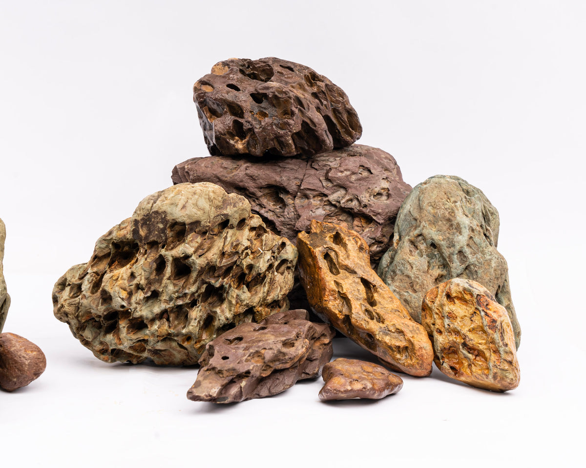 Hoshi Stone - Stein für Aquarium & Terrarium - 250g Bruch