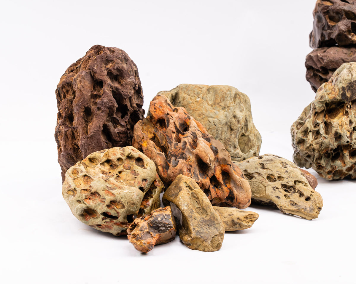 Hoshi Stone - Stein für Aquarium & Terrarium - 250g Bruch