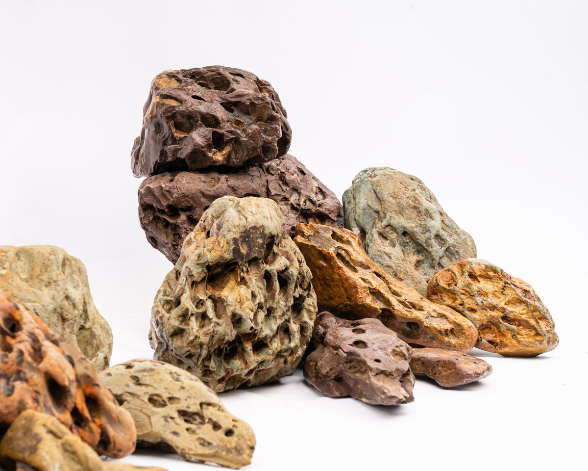 Hoshi Stone - Stein für Aquarium & Terrarium - 250g Bruch