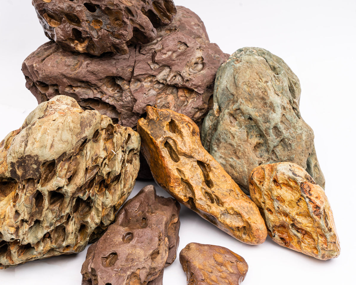 Hoshi Stone - Stein für Aquarium & Terrarium - 250g Bruch
