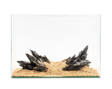 NatureHolic - Ready to Scape - Alien on the Rocks
