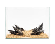 NatureHolic - Ready to Scape - Alien on the Rocks