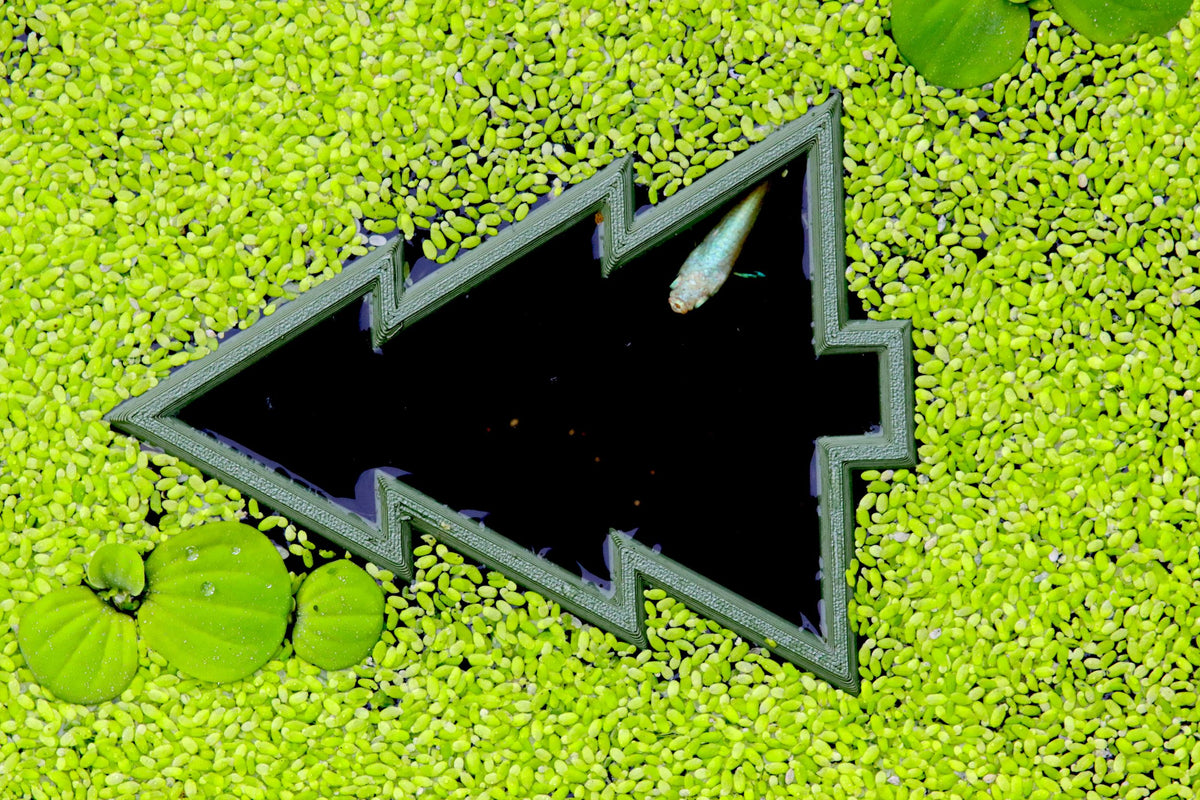 NatureHolic Pflanzenschwimm Portal Christmas Tree - versch. Größen