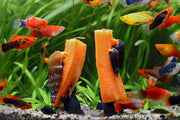 NatureHolic Unicorn Feeder  - versch. Größen