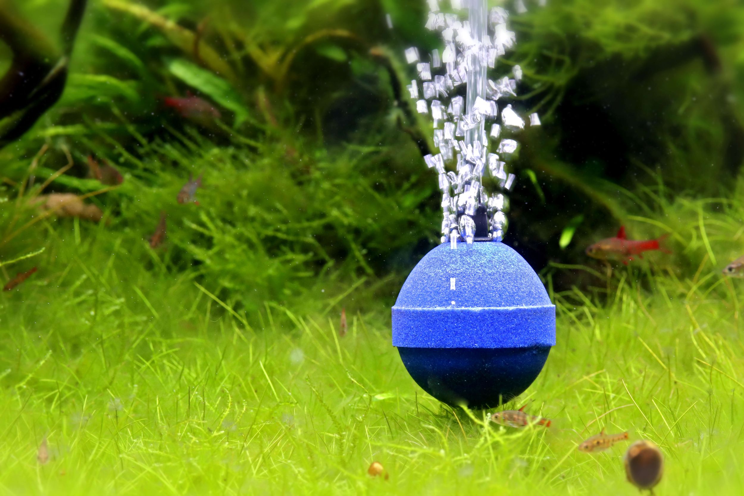 NatureHolic Bubble Ball im 10er Set - Sauerstoffversorgung für Teich und Aquarium