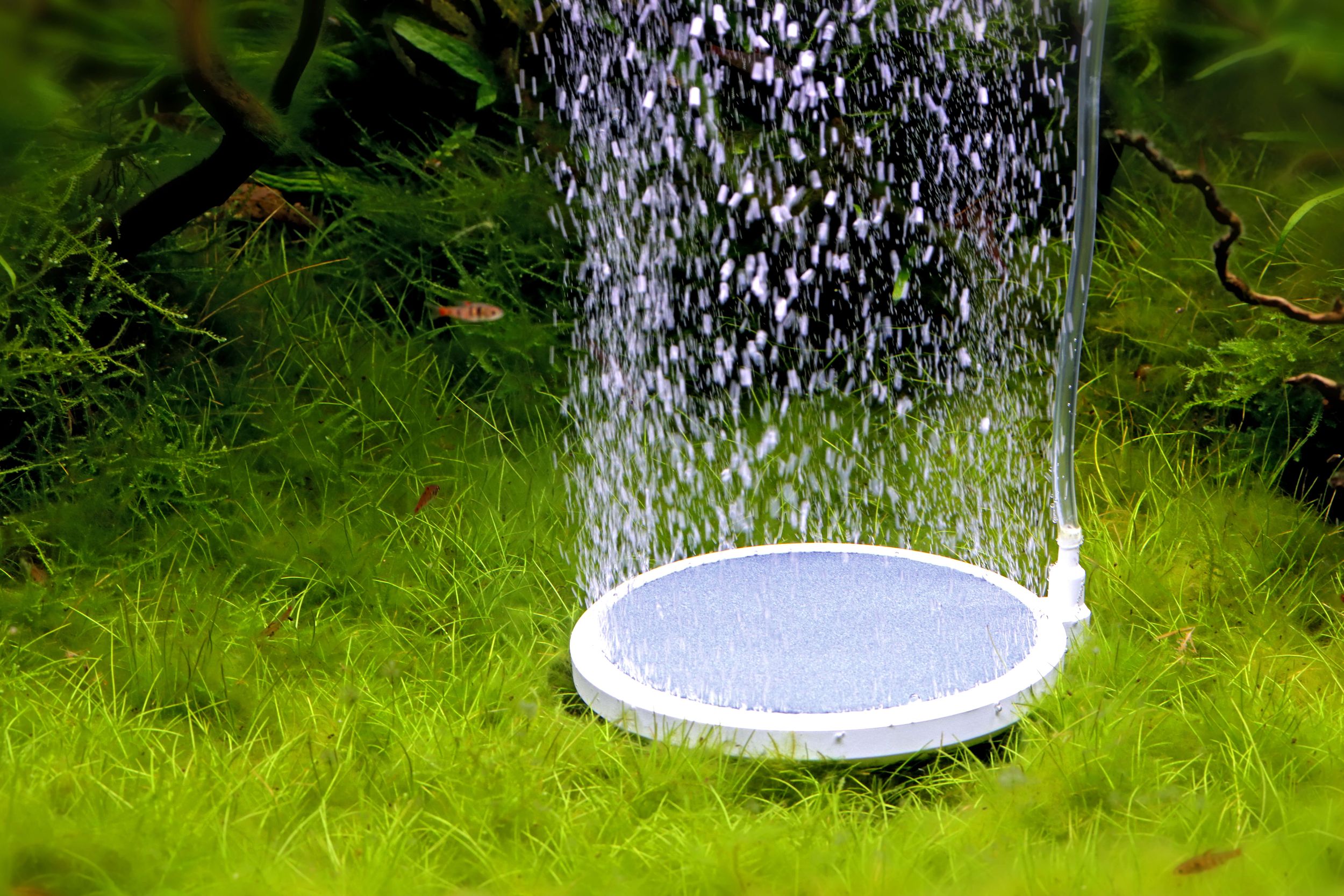 Bubble Disc Ausströmerstein