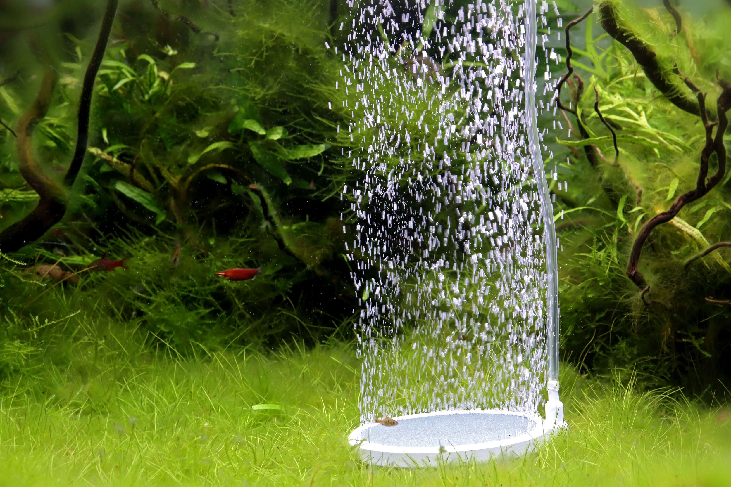Bubble Disc Ausströmerstein