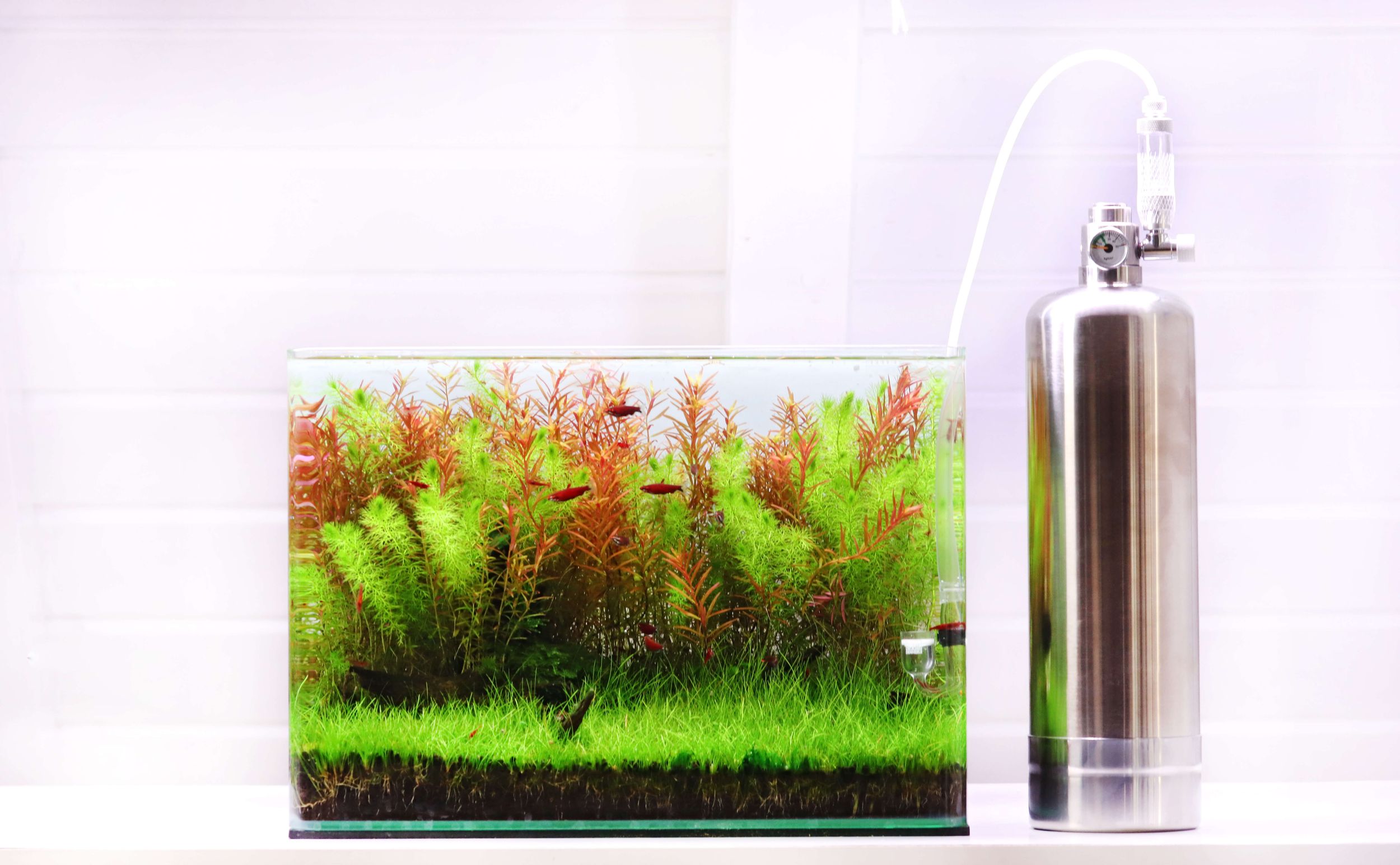 CO2 Generator