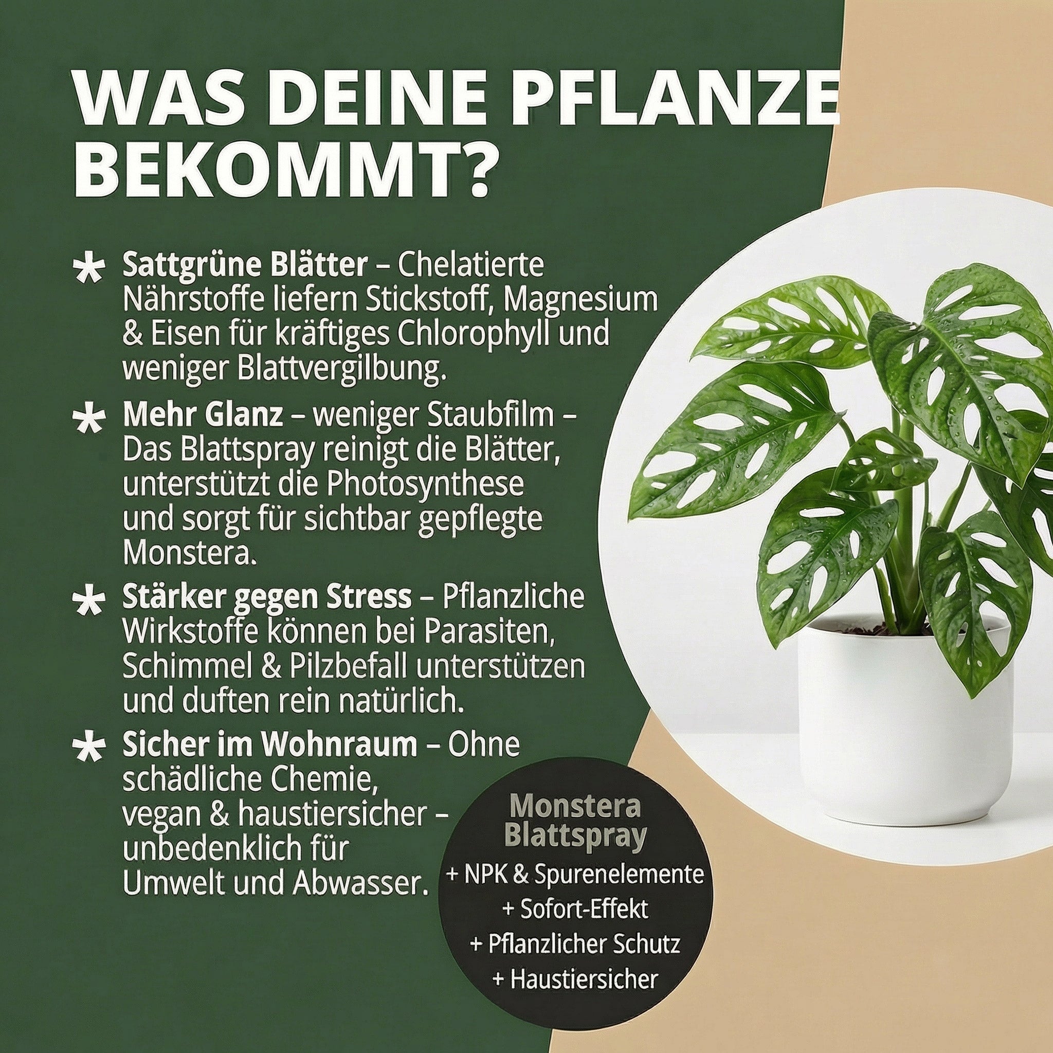 NatureHolic Monstera Spray - Blattspray Dünger