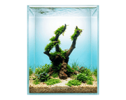 NatureHolic - Ready to Scape - Jungle Tree