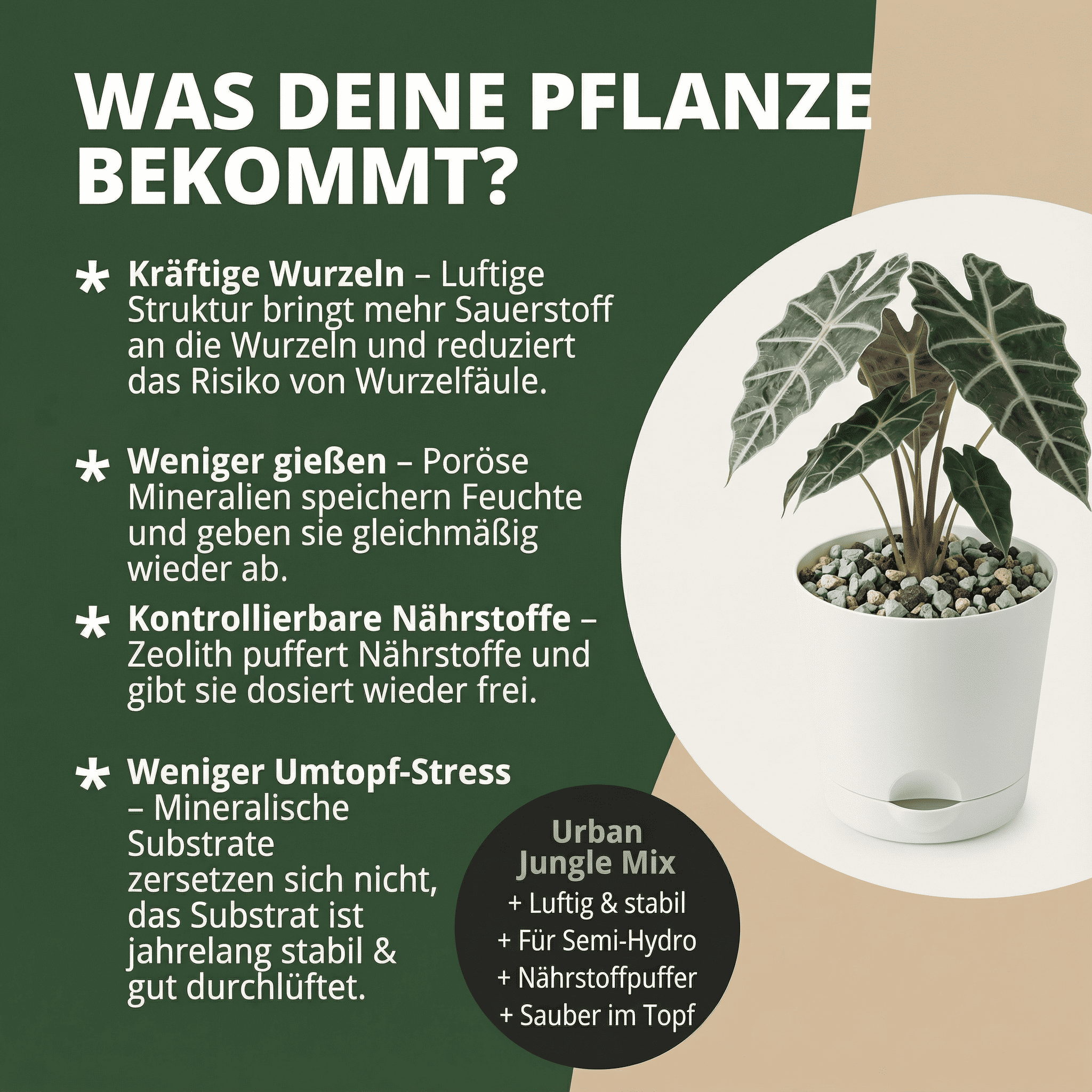 Natureholic - Jungle Mix - Mineralisches Pflanzsubstrat für Zimmerpflanzen