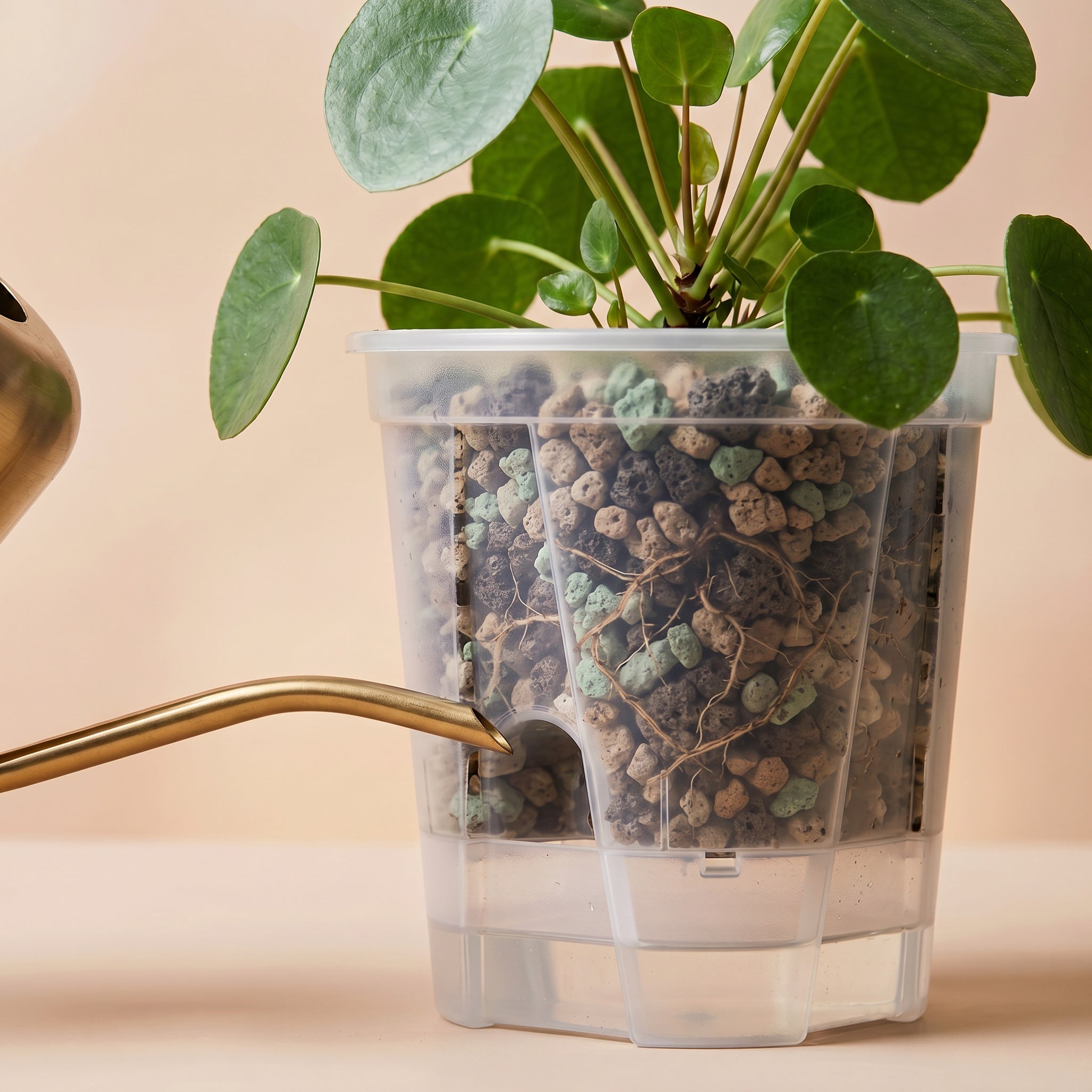 NatureHolic Junglepot - Selbstbewässernder Topf