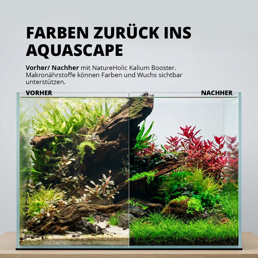NatureHolic - K Booster - flüssiger Kalium Aquariumdünger