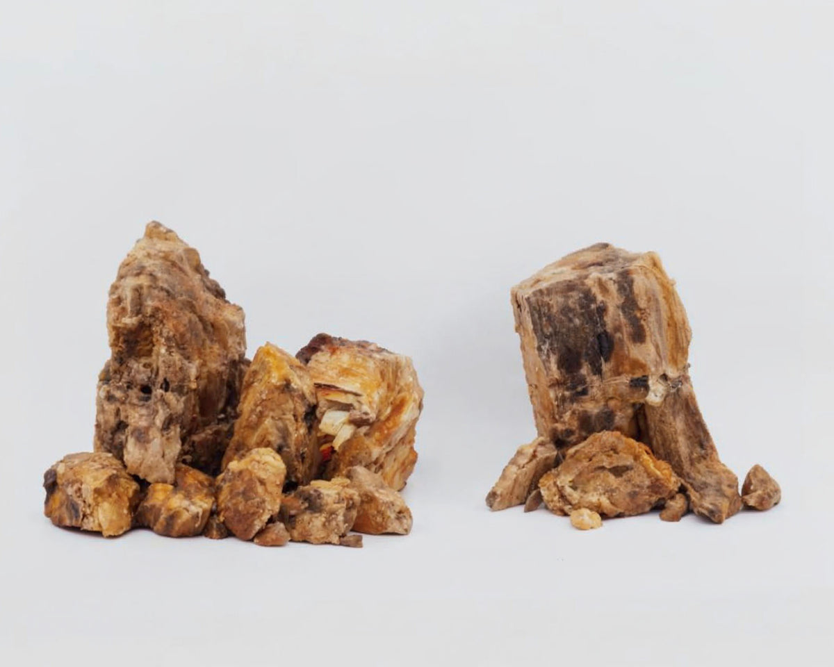Kogarashi Stone - versteinertes Holz für Aquarium & Terrarium - 250g Bruch