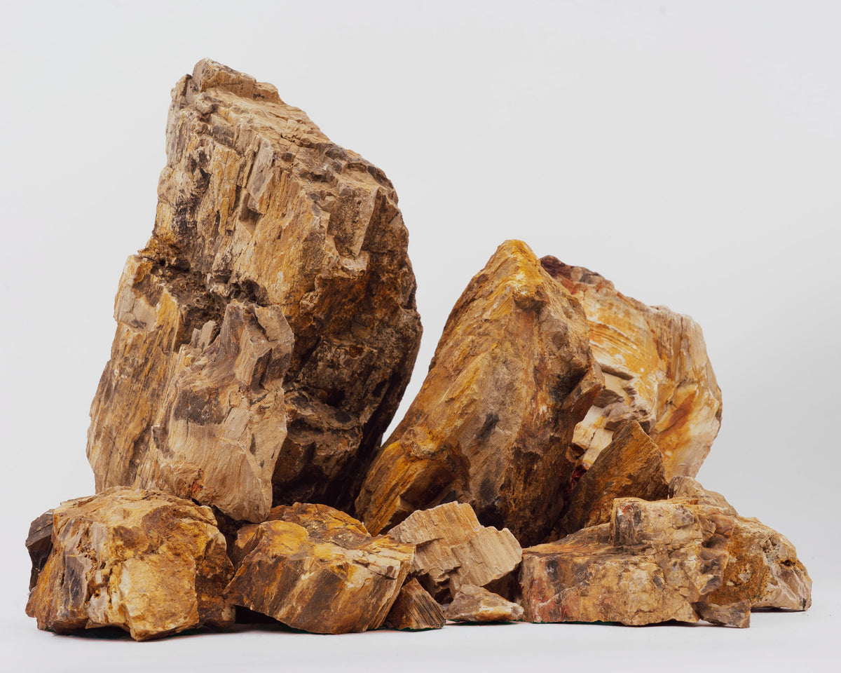 Kogarashi Stone - versteinertes Holz für Aquarium & Terrarium - 250g Bruch