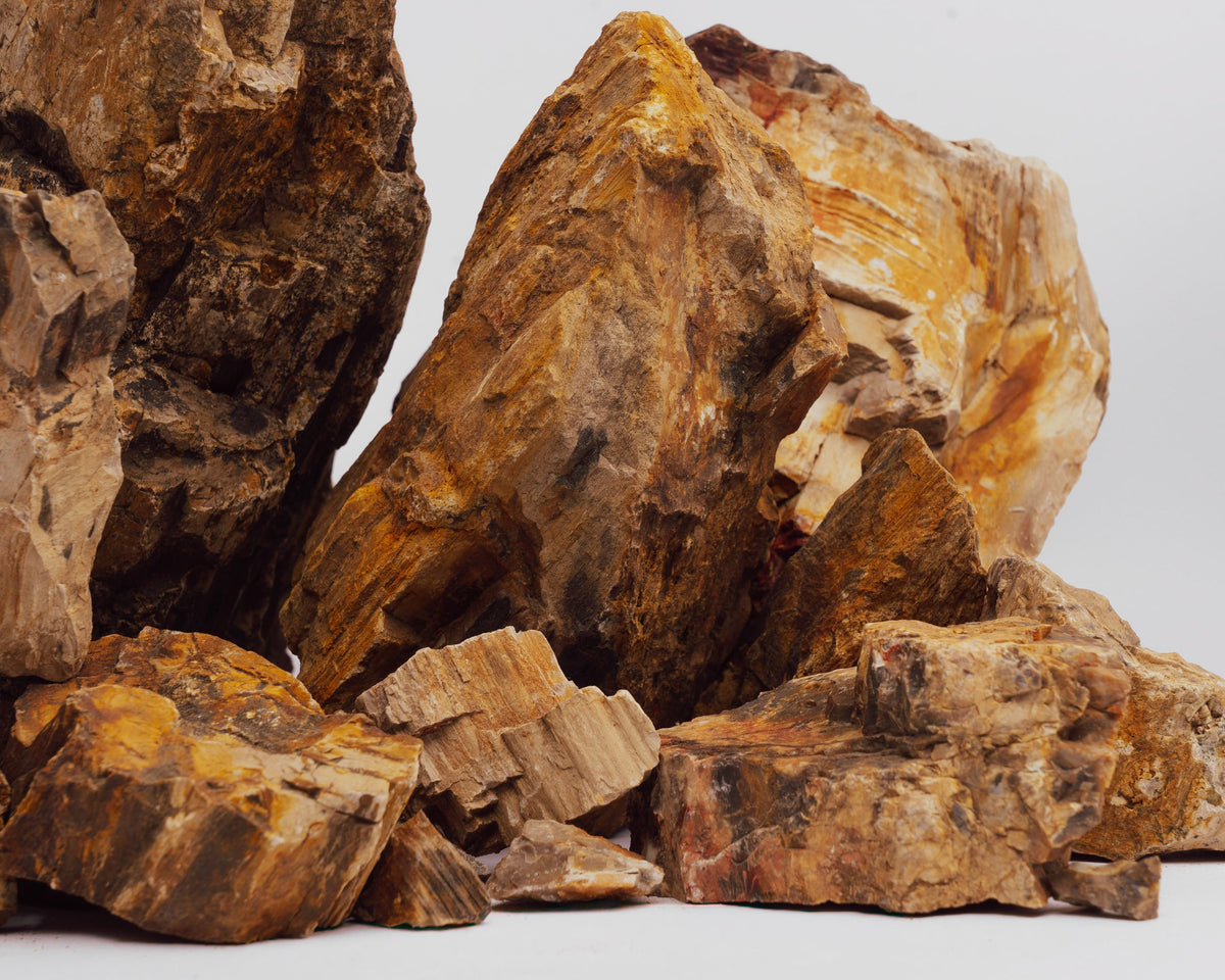 Kogarashi Stone - versteinertes Holz für Aquarium & Terrarium - 250g Bruch