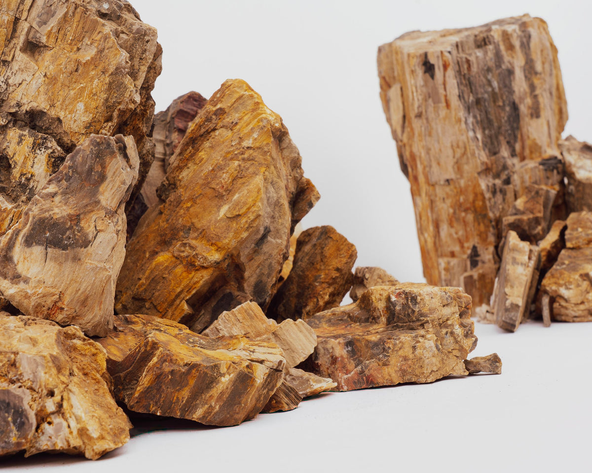 Kogarashi Stone - versteinertes Holz für Aquarium & Terrarium - 250g Bruch