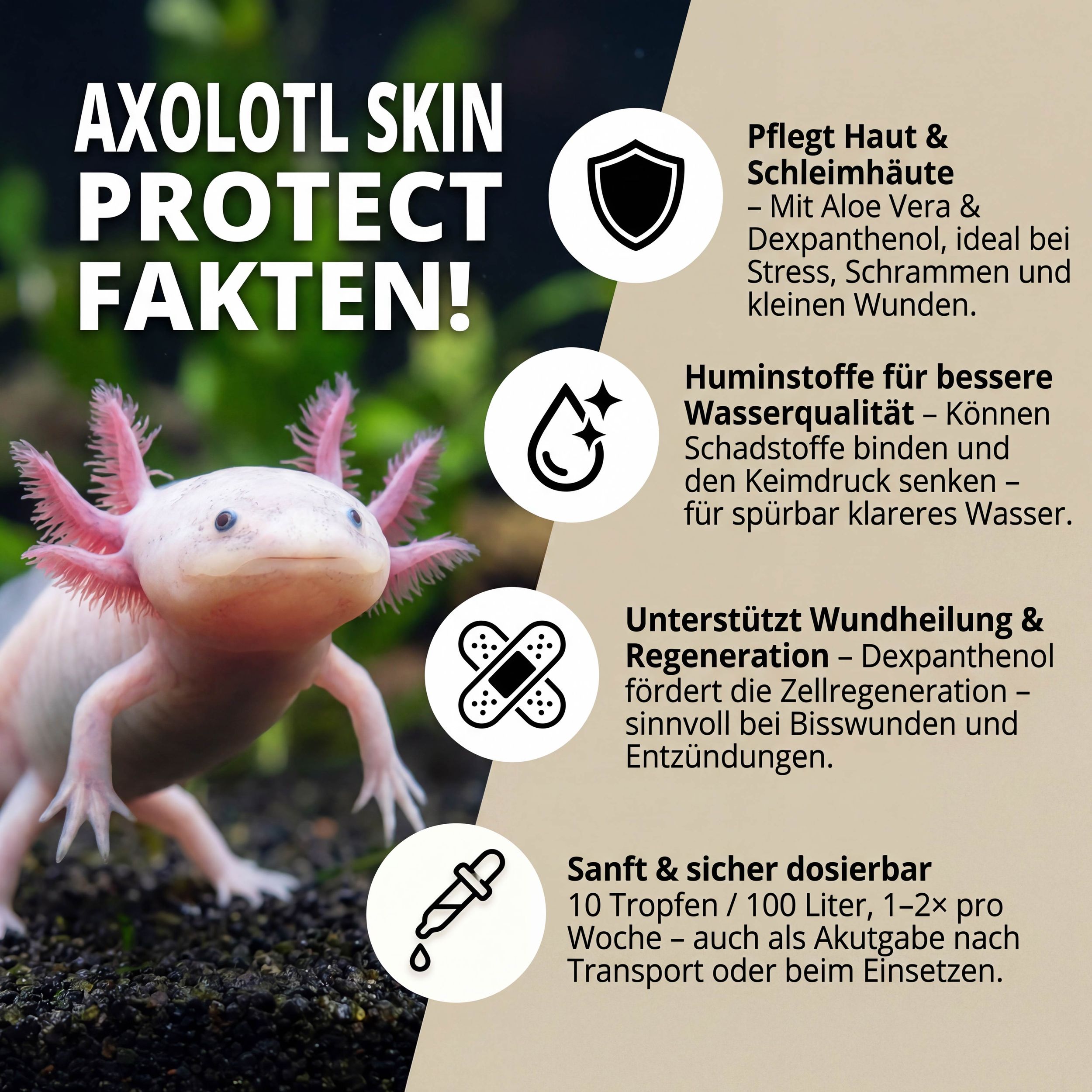 Axolotl Skin Protect