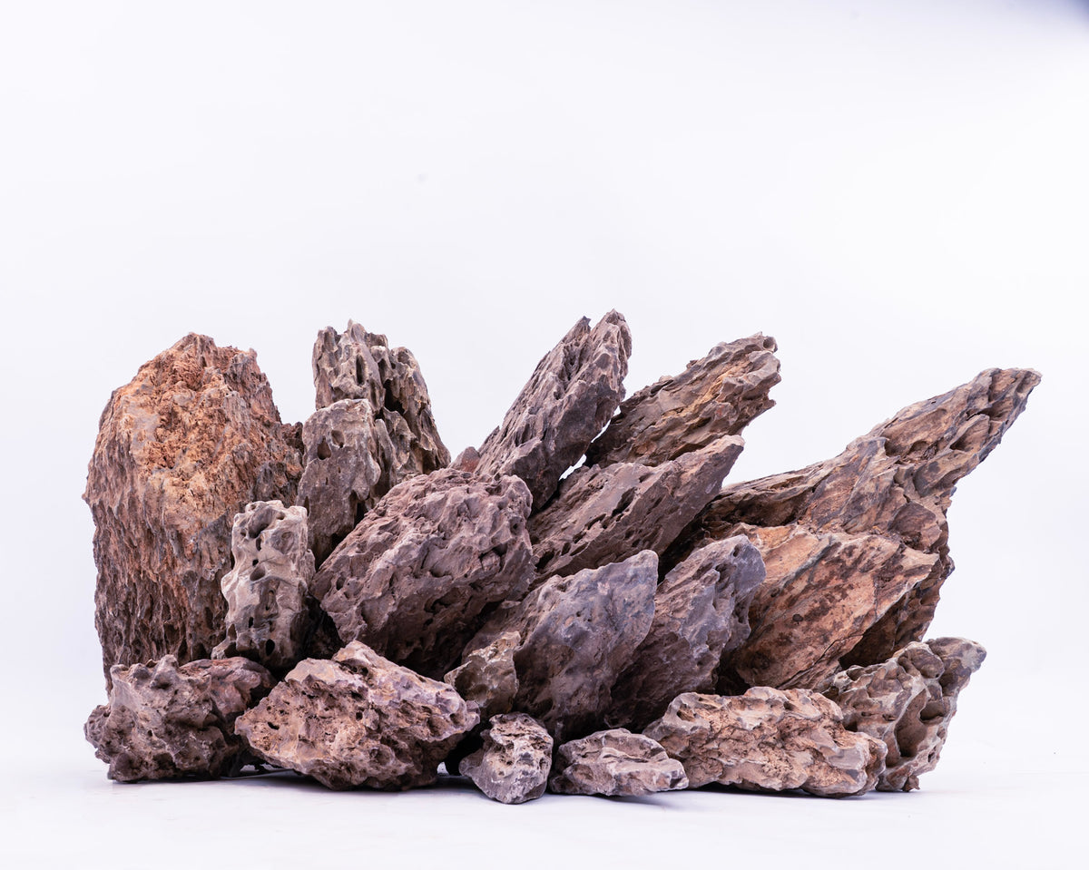 Lila Drachenstein - Yaki Stone - Stein für Aquarium & Terrarium - 250g Bruch