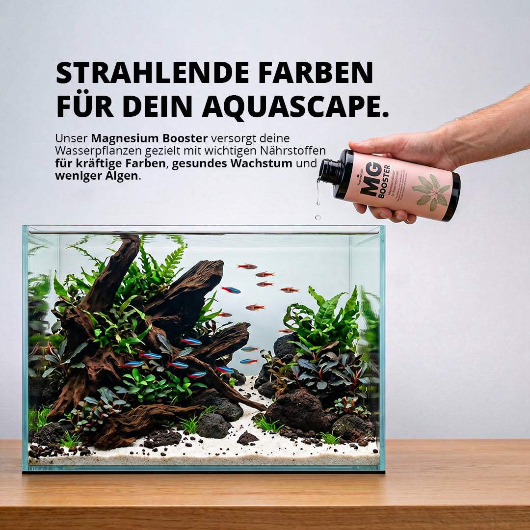 NatureHolic - Mg Booster - flüssiger Magnesium Aquariumdünger