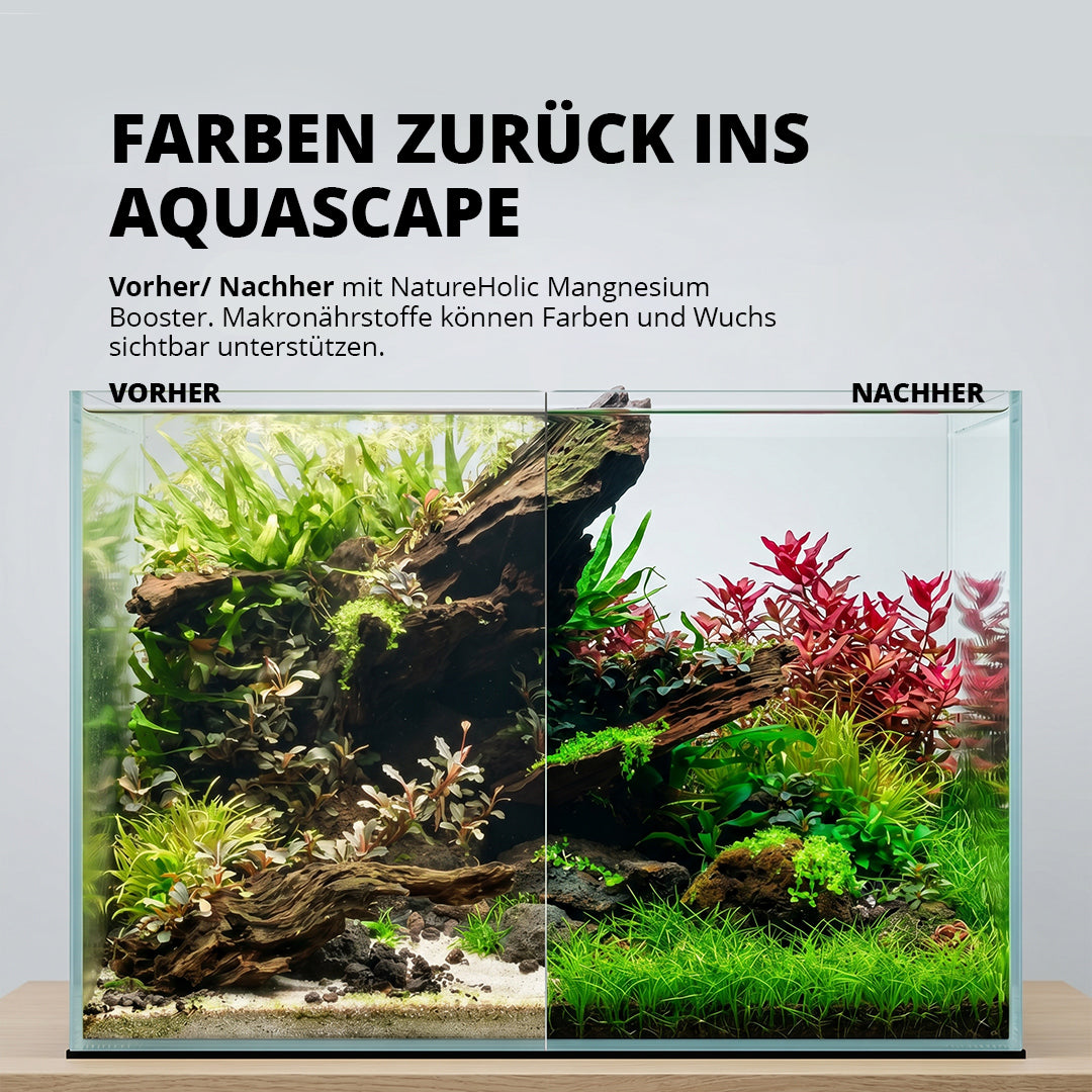 NatureHolic - Mg Booster - flüssiger Magnesium Aquariumdünger