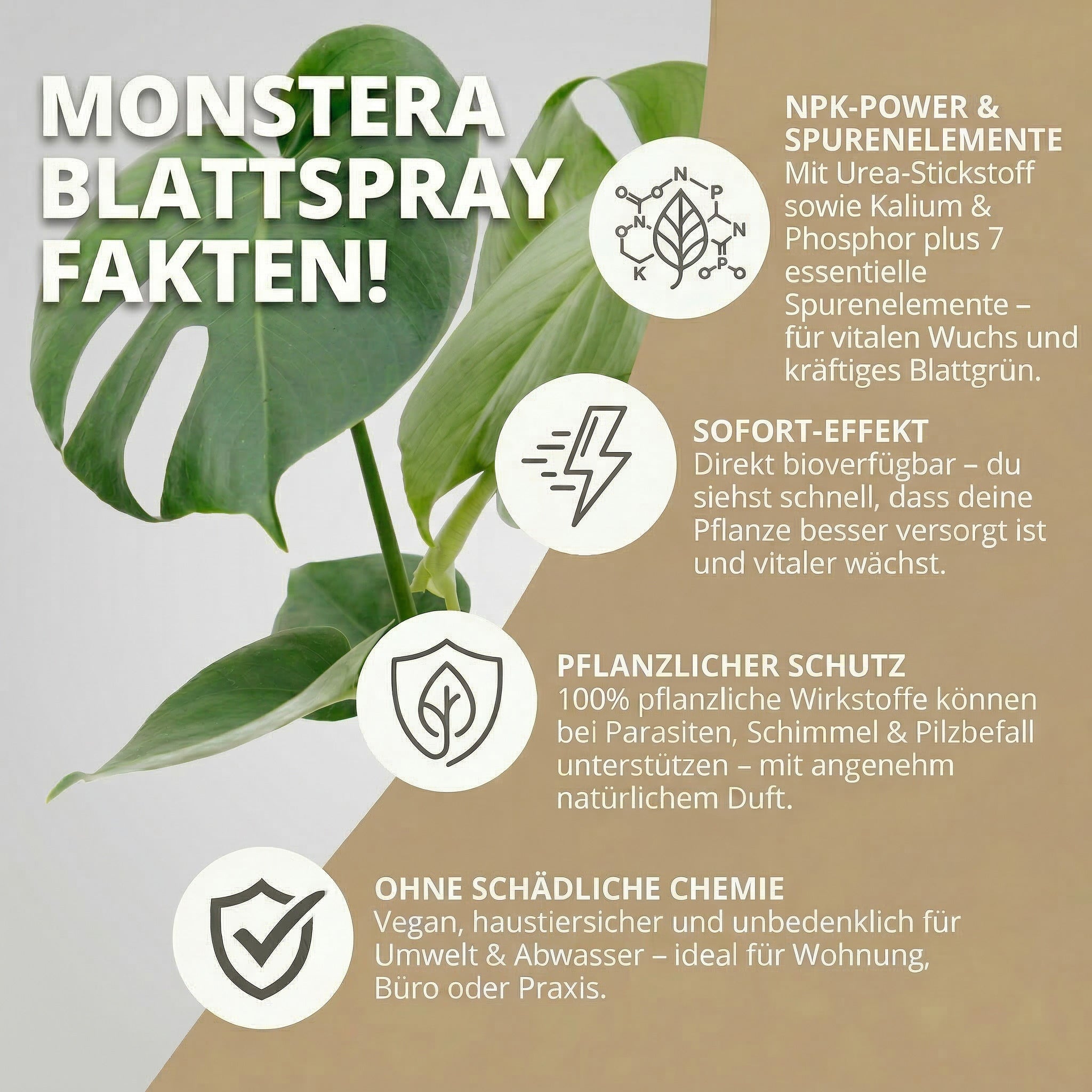 NatureHolic - Blattpflege-Set - Pflegehandschuhe + Blattspray 250 ml