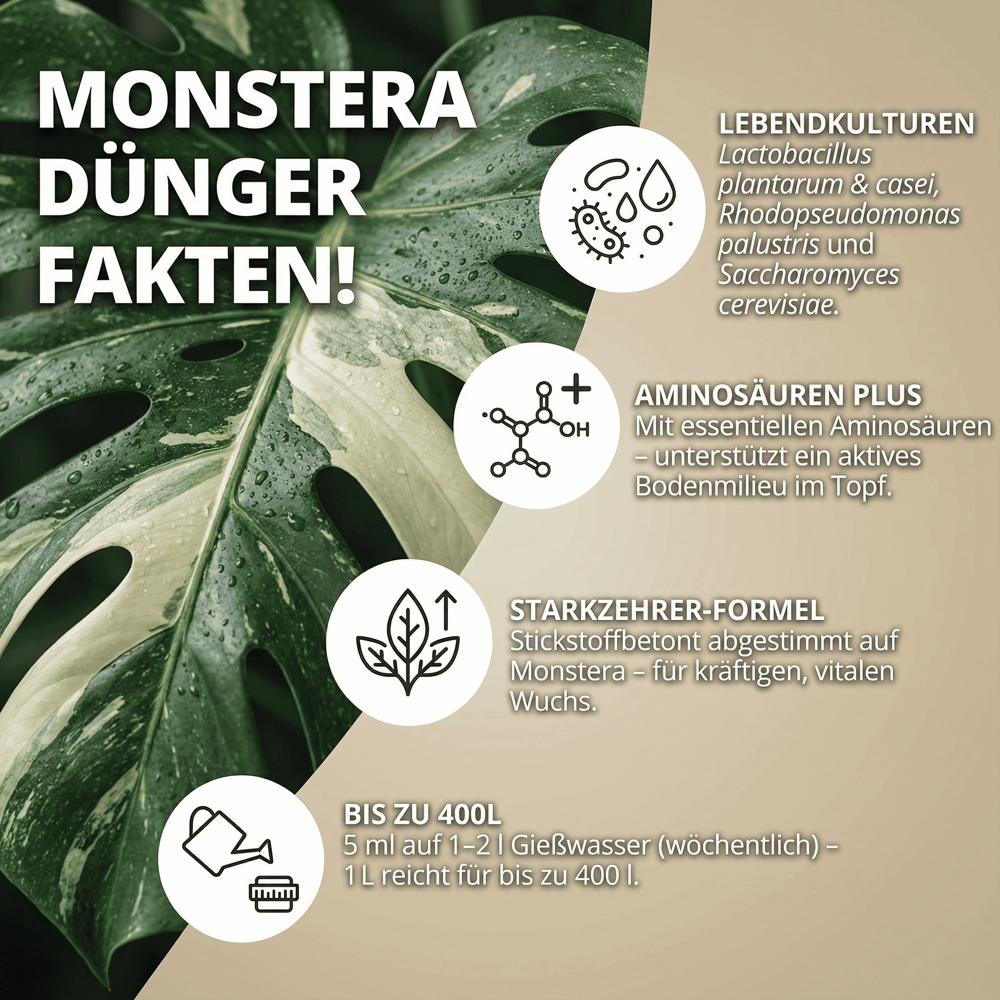NatureHolic Monstera Dünger - Biologischer Zimmerpflanzendünger - 1000ml