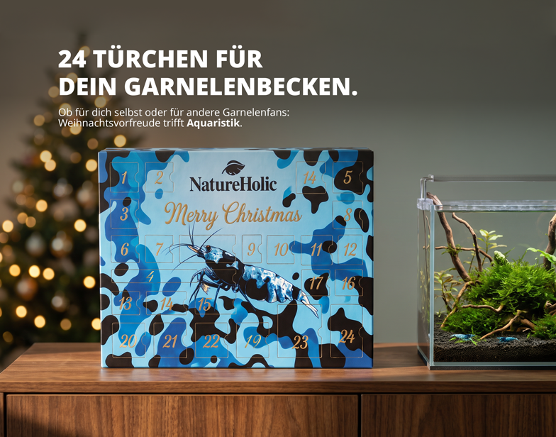 NatureHolic - Adventskalender ,,Blue shrimp'' Edition 2026 (PreSale)