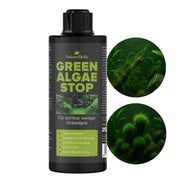 Green Algae Stop