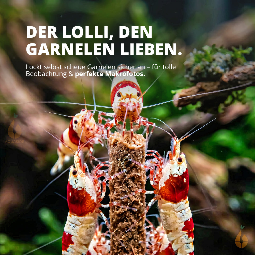 NatureHolic - Garnelen Lollies „Blue Spirulina“ - 5 Lollis fürs Aquarium