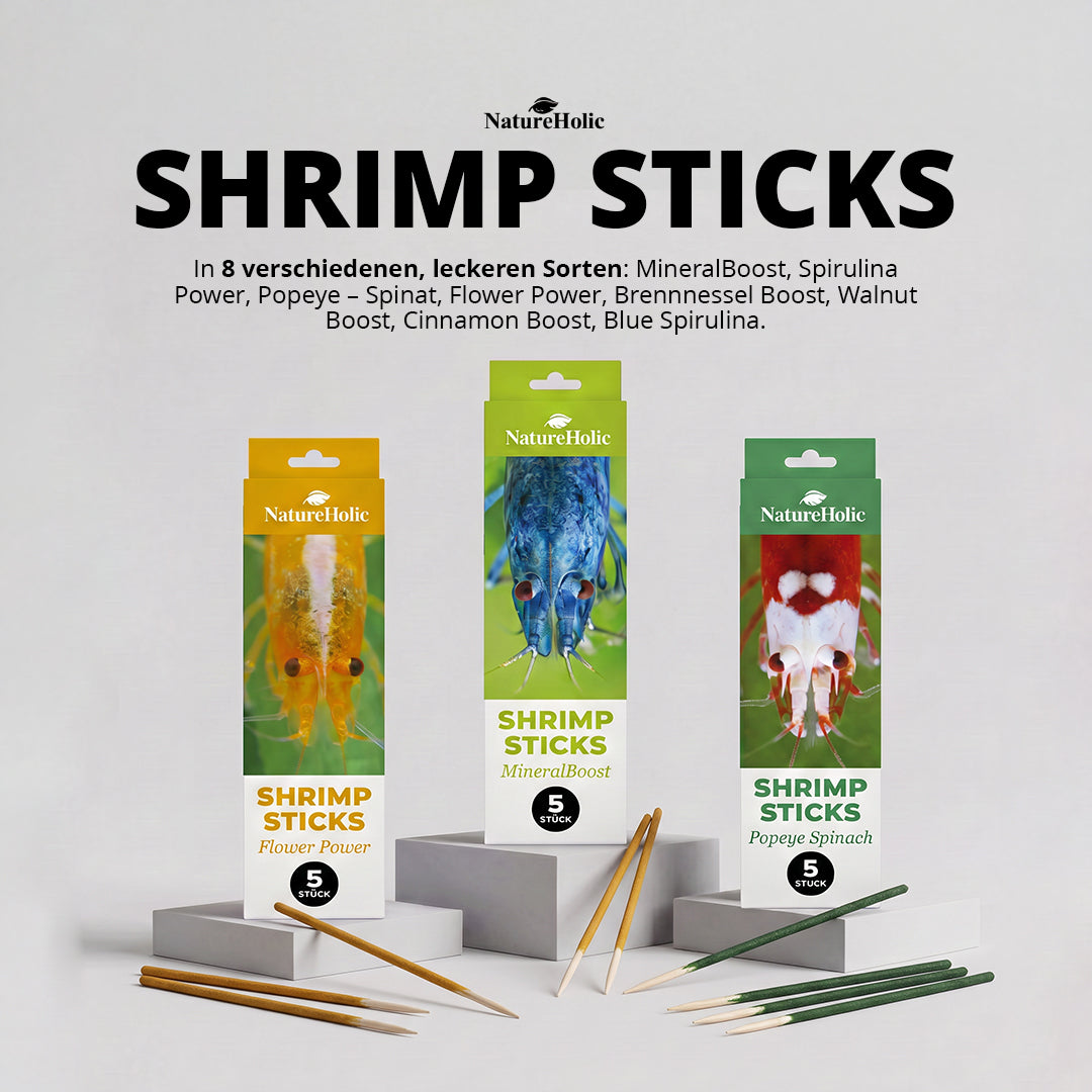 NatureHolic - Garnelen Lollies „Walnut Boost“ - 5 Lollis fürs Aquarium