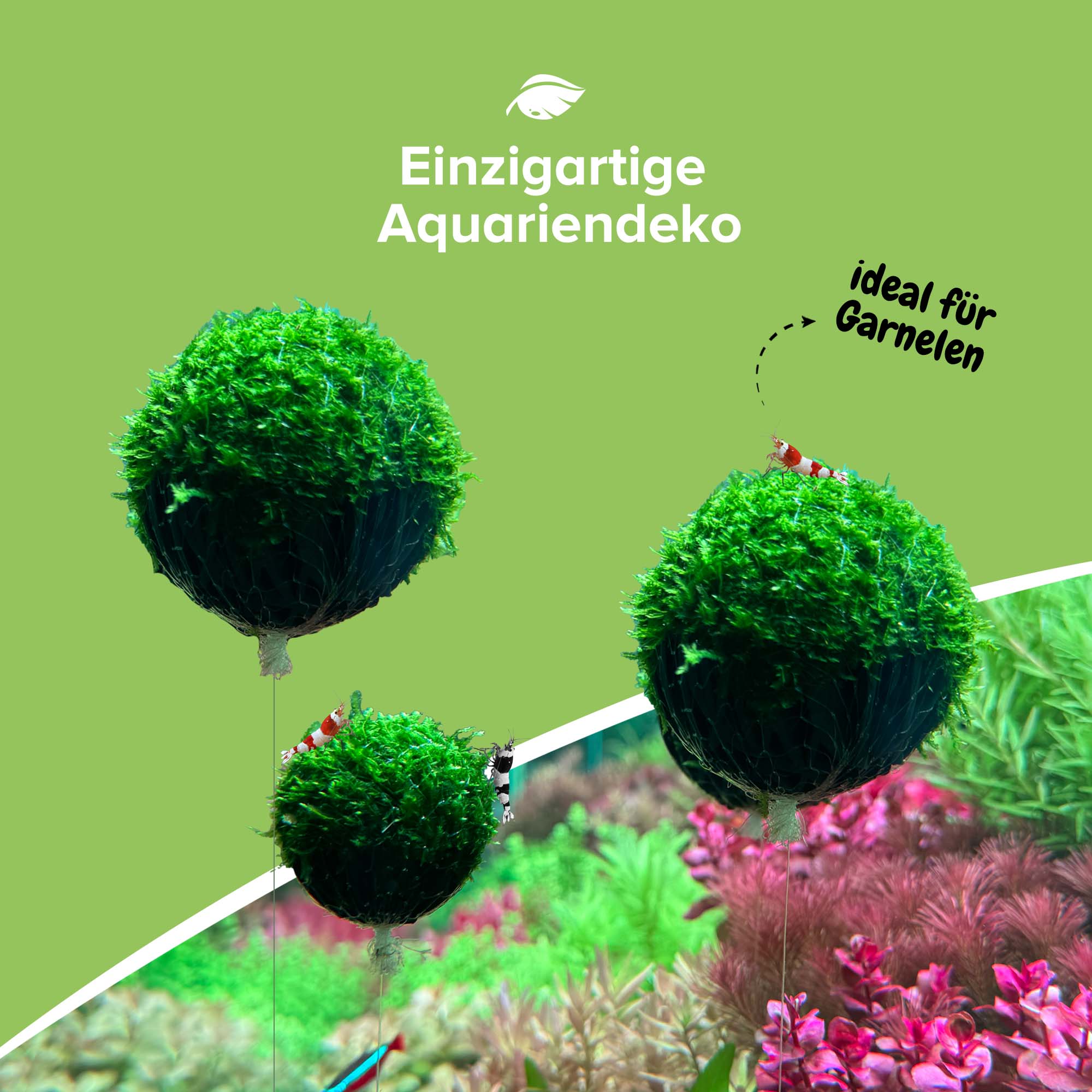 Floating Spheres