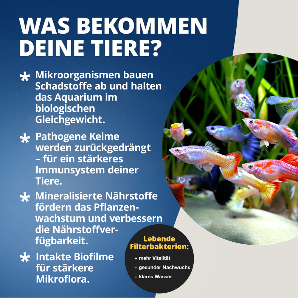 NatureHolic - Bacter Liquid - 125ml - Filterstarterbakterien
