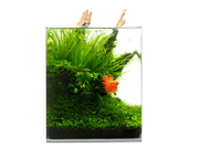 Crystal Clear Cube