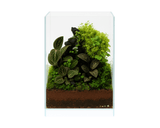 NatureHolic - Nano Air Tank - Aquarium