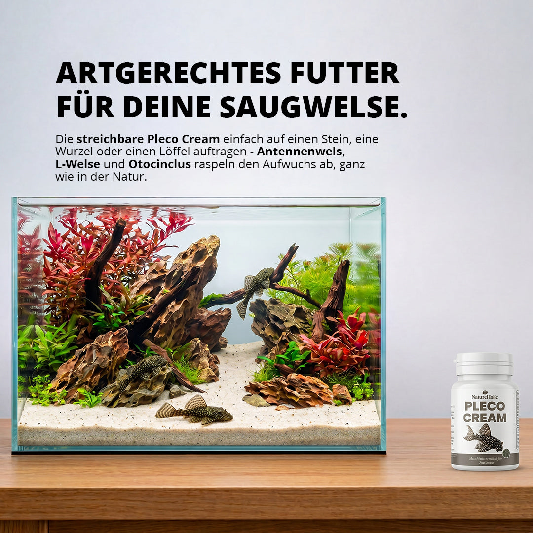 NatureHolic Pleco Cream - Futterpaste für Welse 100g